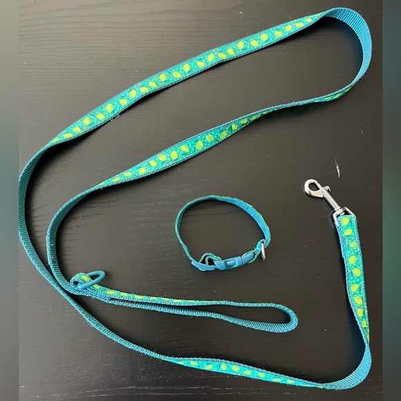 NWOT Small dog collar and leash set - Picture 4 of 5